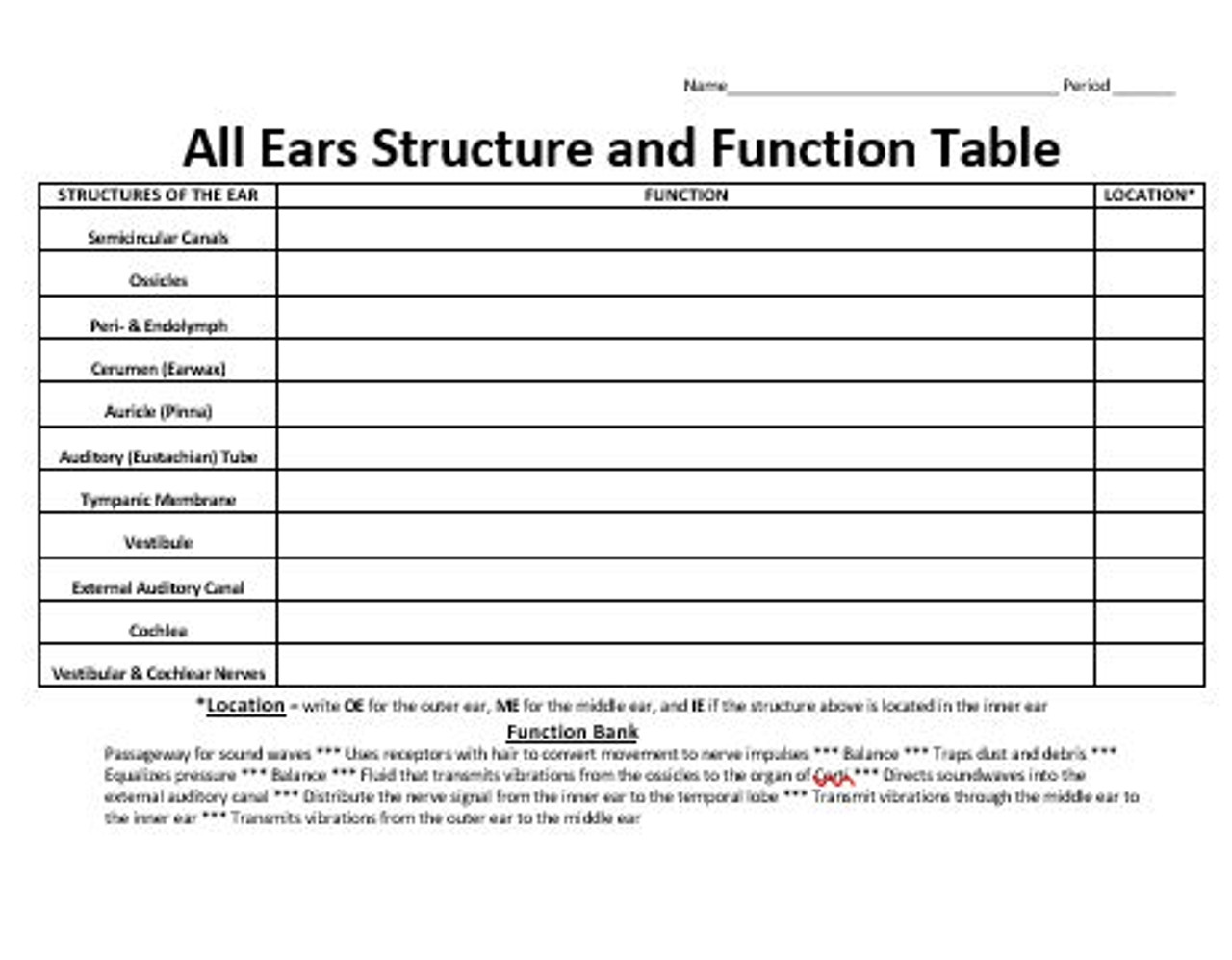 Anatomy Of The Constitution Worksheet