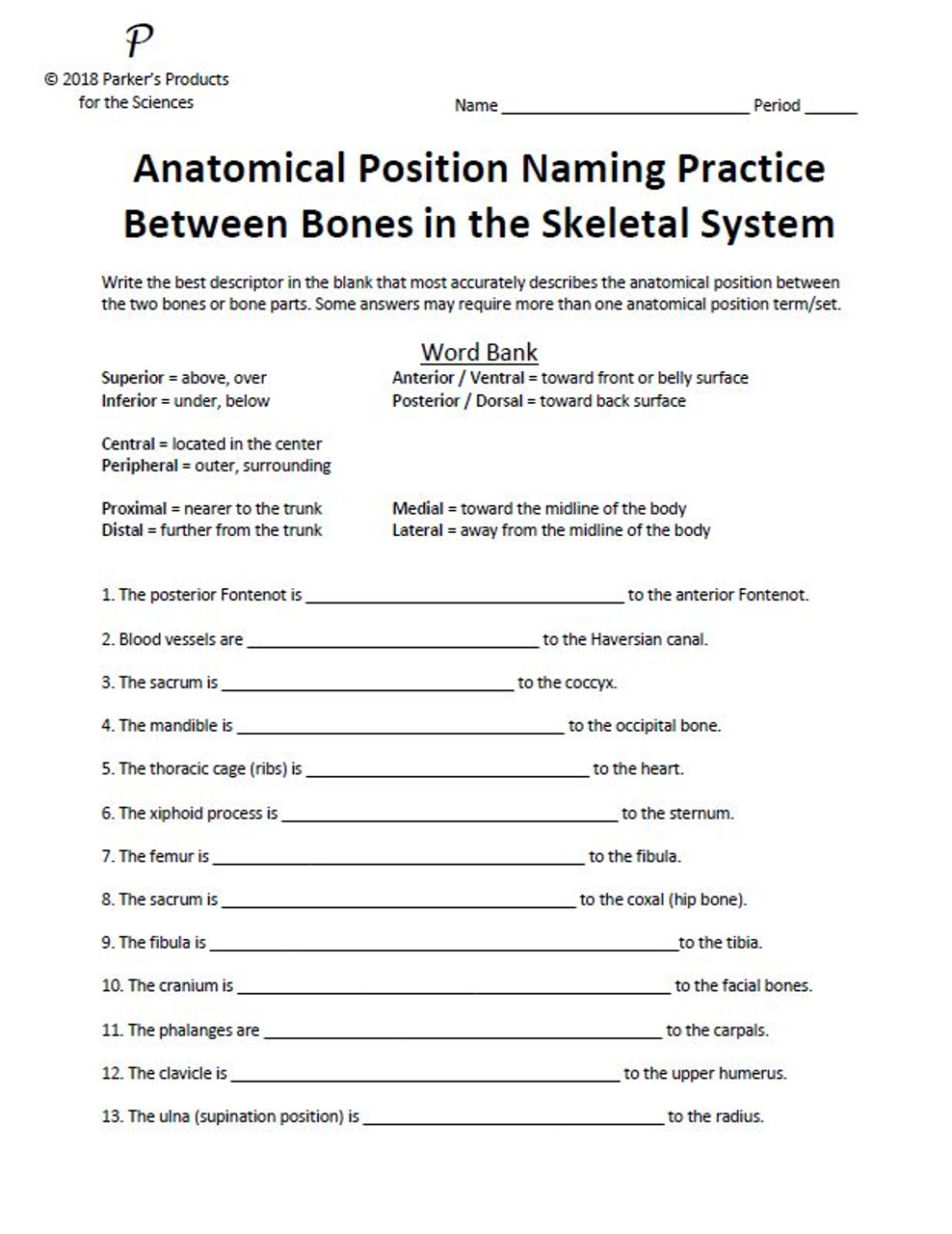 Anatomical Position Naming Practice Between Bones in the Skeletal System