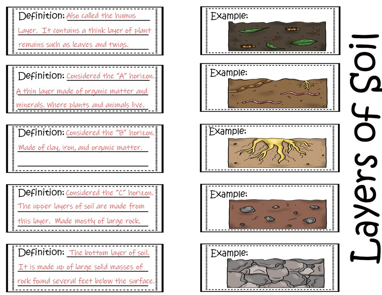 Layers of Soil Foldable With Layers Of Soil Worksheet