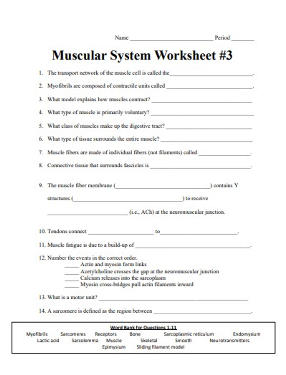 Muscular System Worksheet Series - Amped Up Learning muscular-system-worksheet-series-amped-up-learning