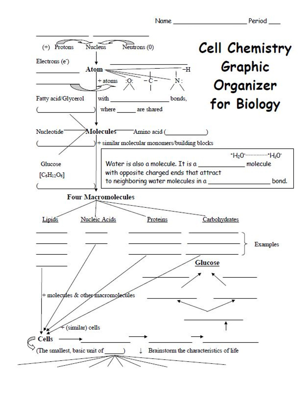 Hierarchy Of Life Cell Chemistry And Characteristics Of Life Graphic Organizer Amped Up Learning