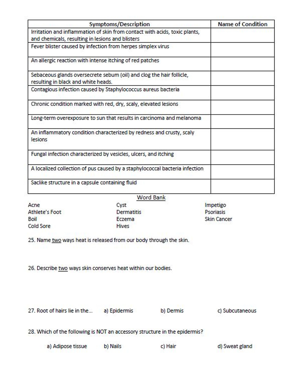 Integumentary System Unit Exam Or Summative Study Guide Amped Up