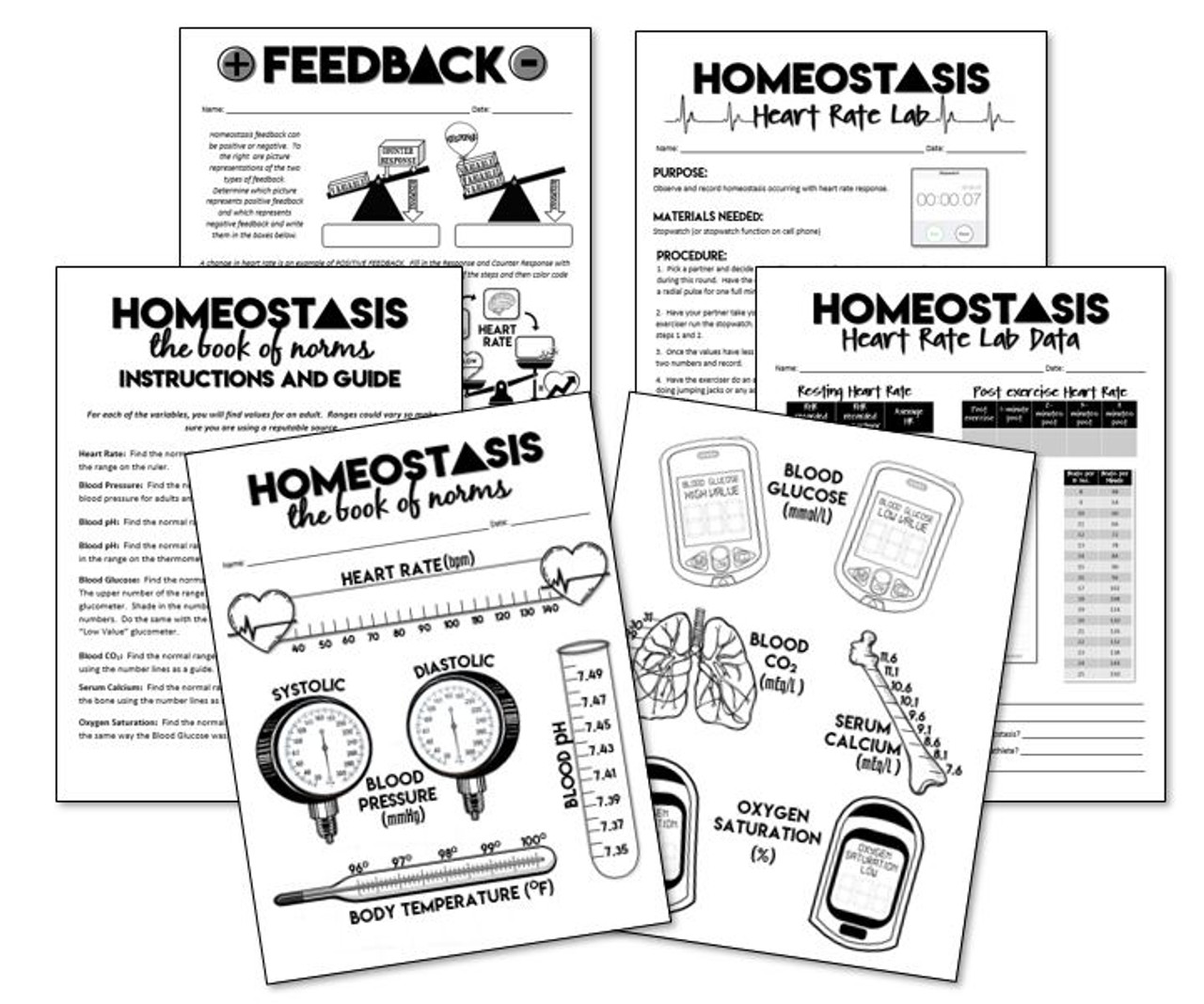 Homeostasis Activities- Great for Health Science!