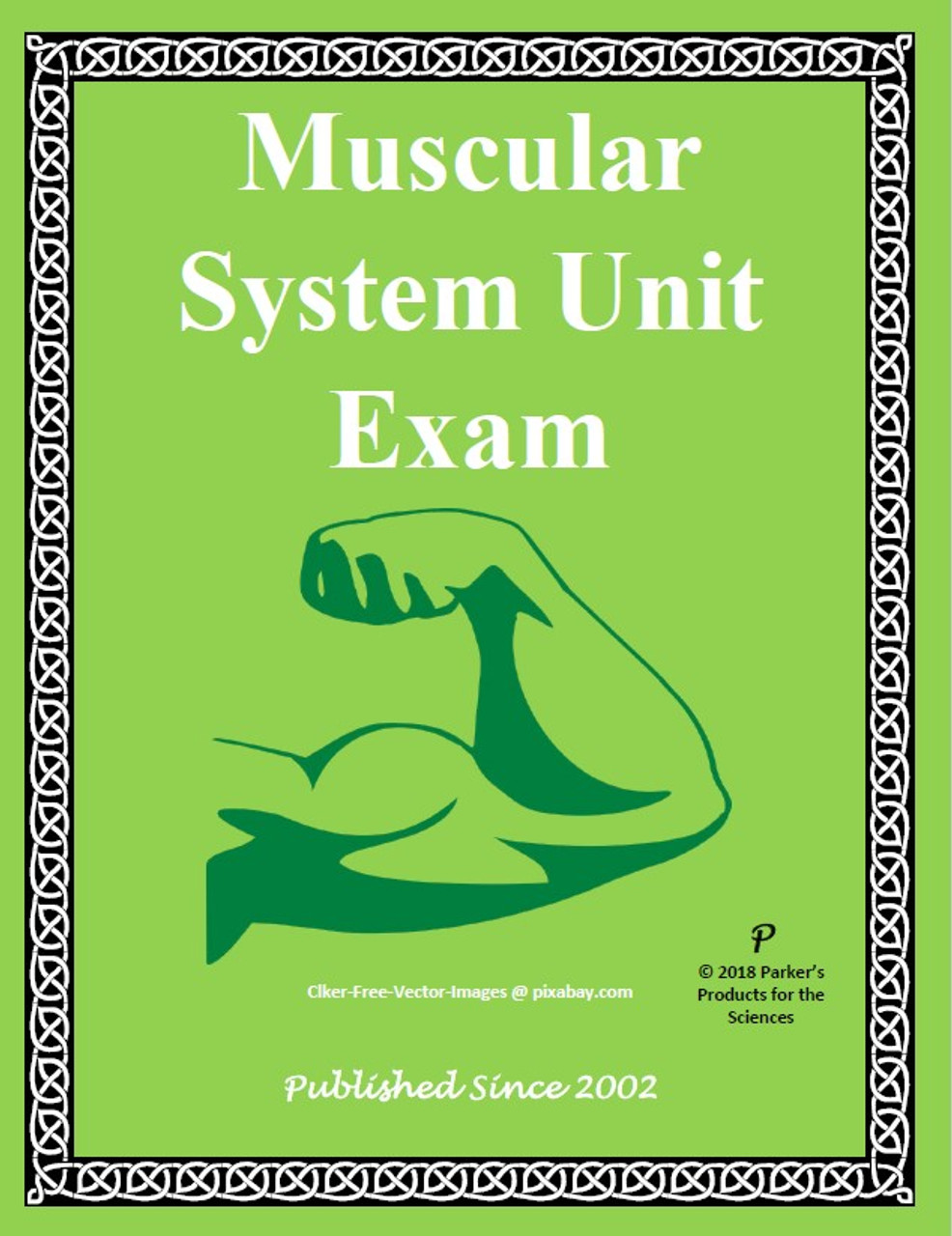 Muscular System Exam