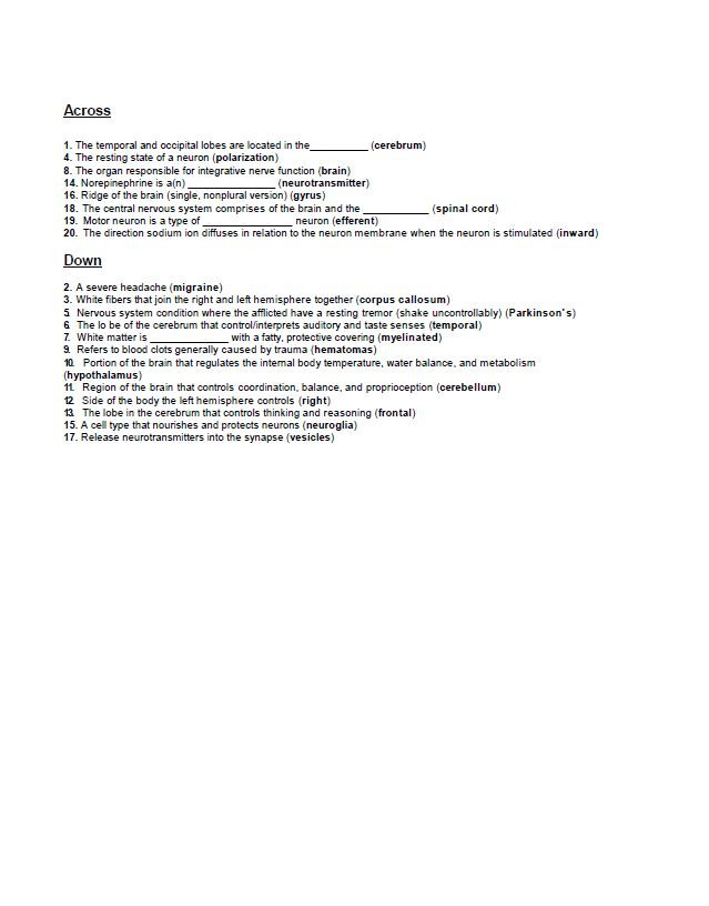 Nervous System Crossword Puzzle Set #2 Amped Up Learning