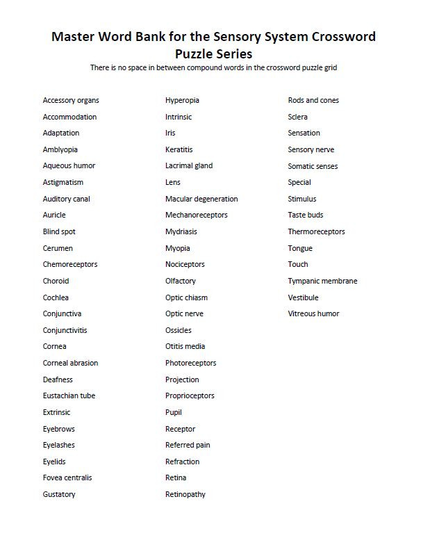 Sensory System Crossword Puzzle Bundle - Four Total! - Amped ...