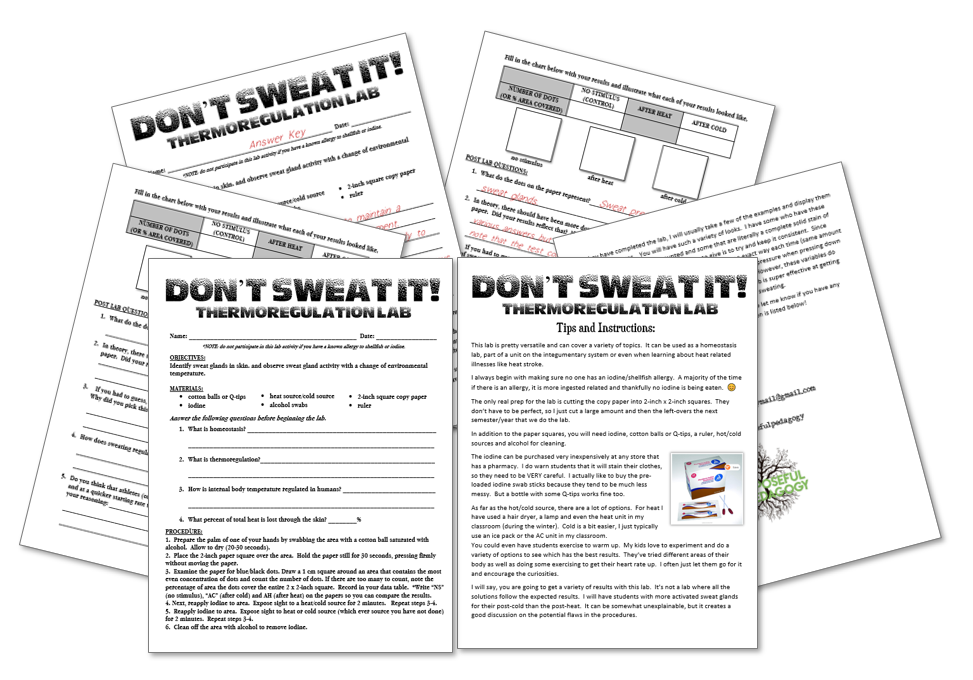 Don't Sweat It! Thermoregulation Lab- Integumentary System and ...
