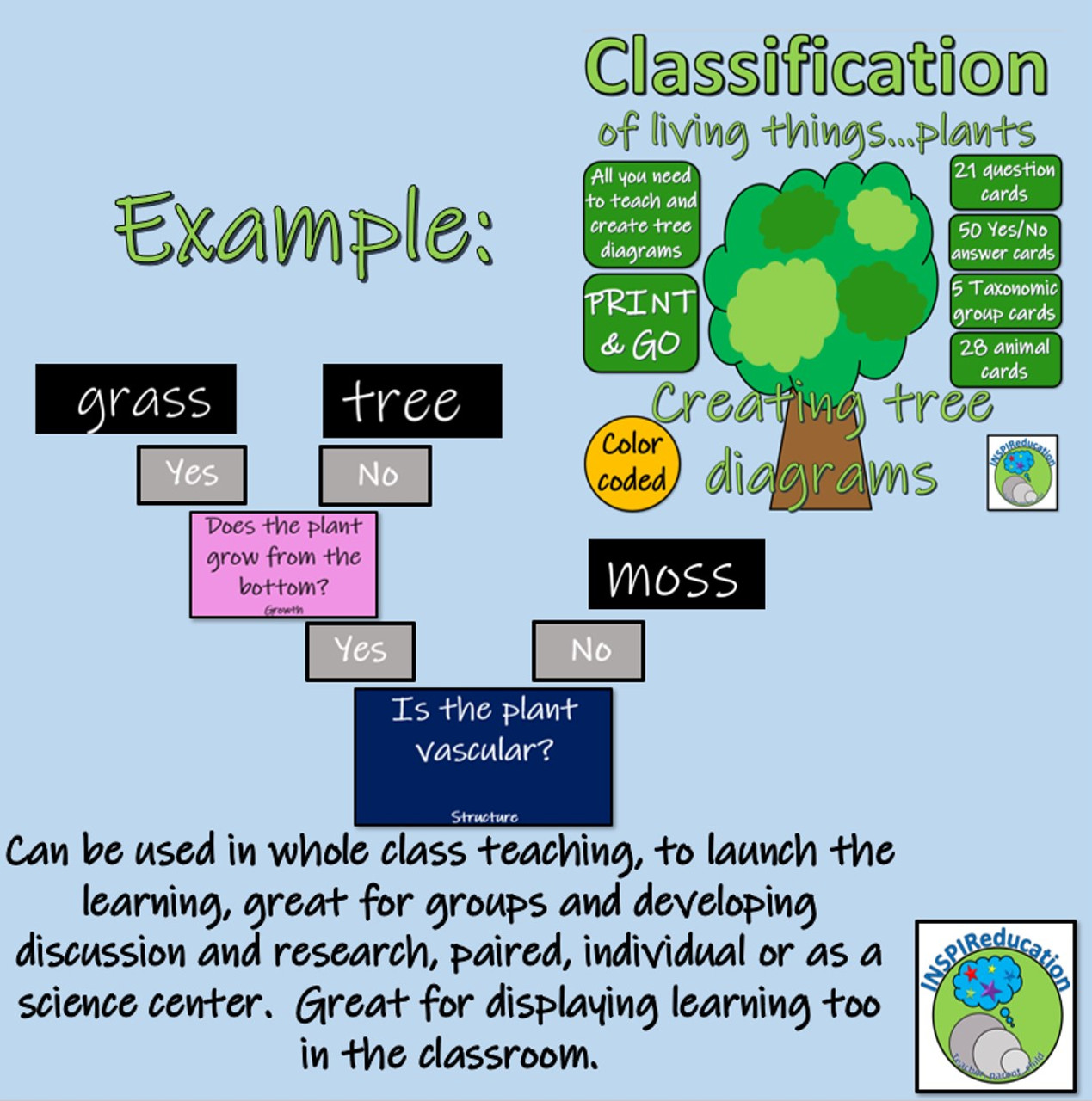 Classification of Green Plants - Decision Trees (Yes/No) Questions - Branch diagrams