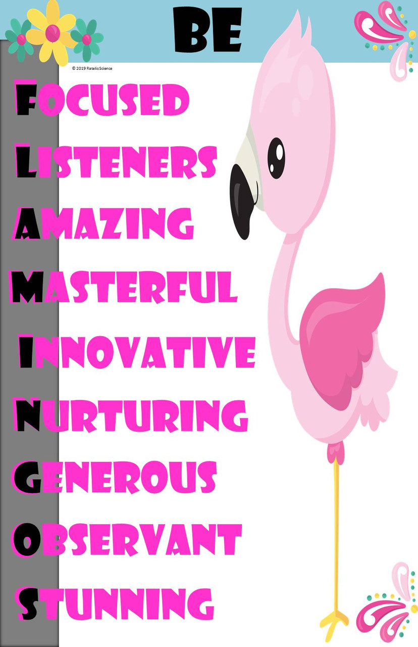 Flamingo Mindset Poster (11x17 size) - Amped Up Learning