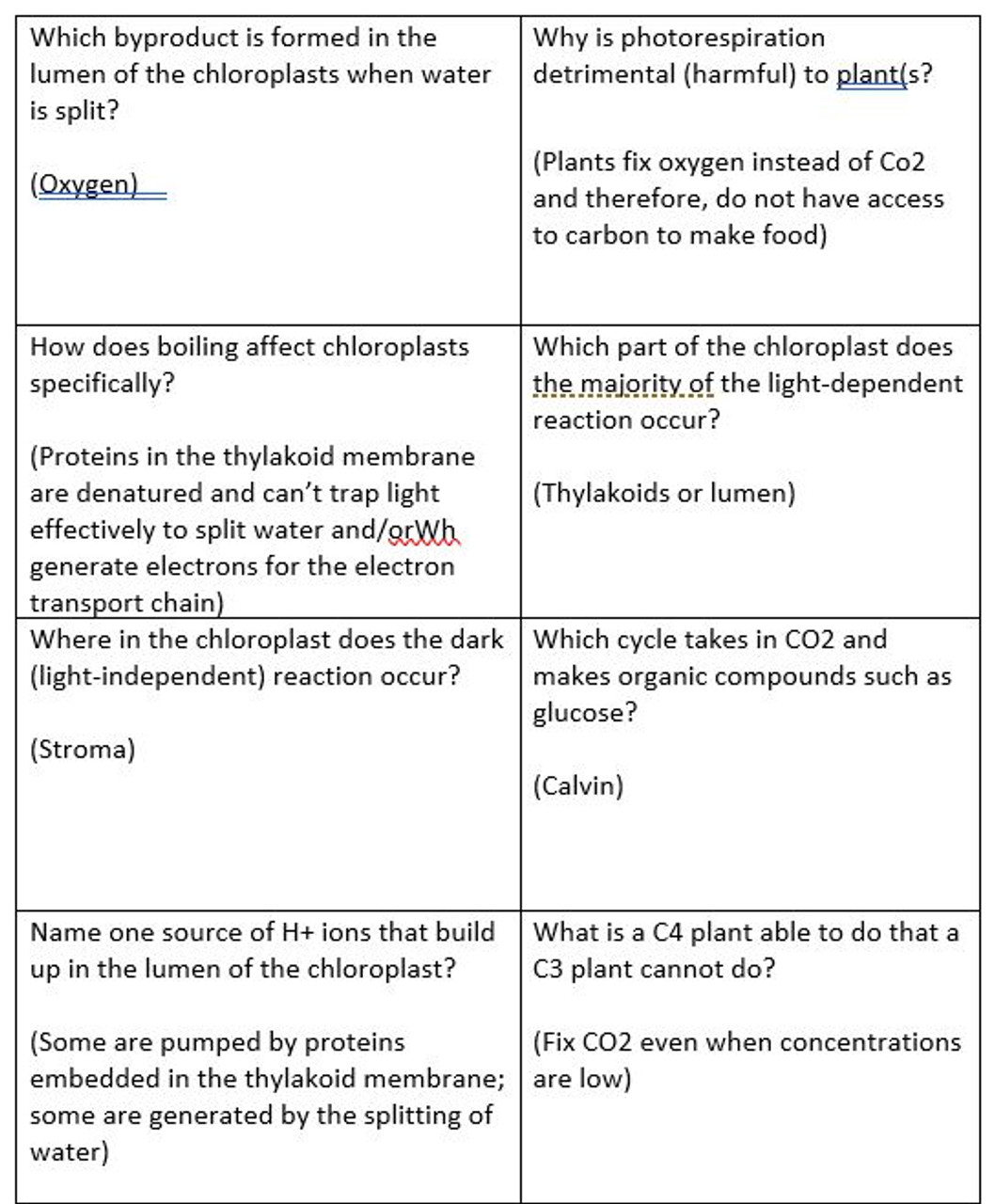 Photosynthesis Mania!! A Fun & Engaging Board Game for the ...