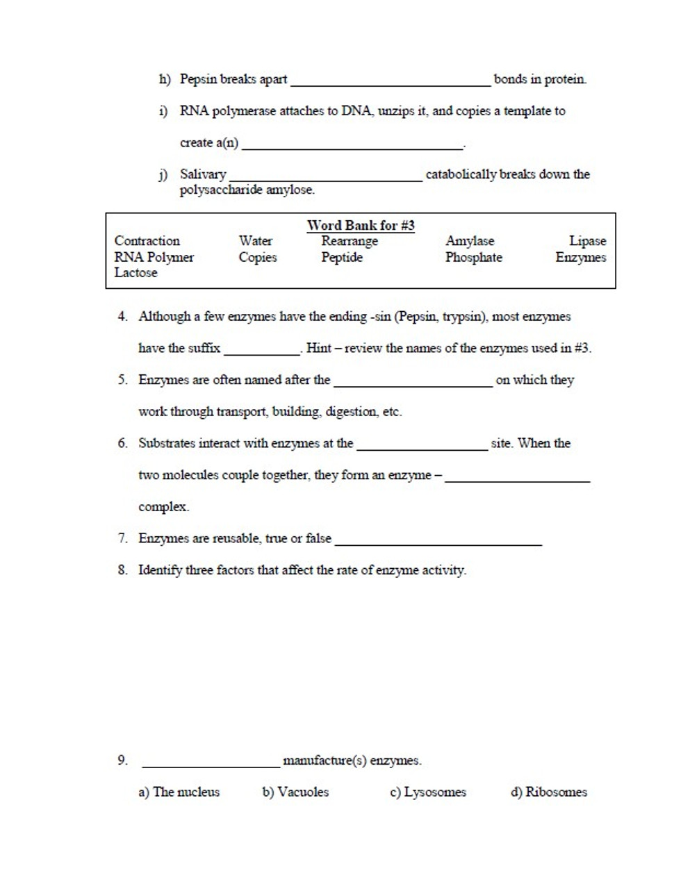 All About Enzymes Worksheet