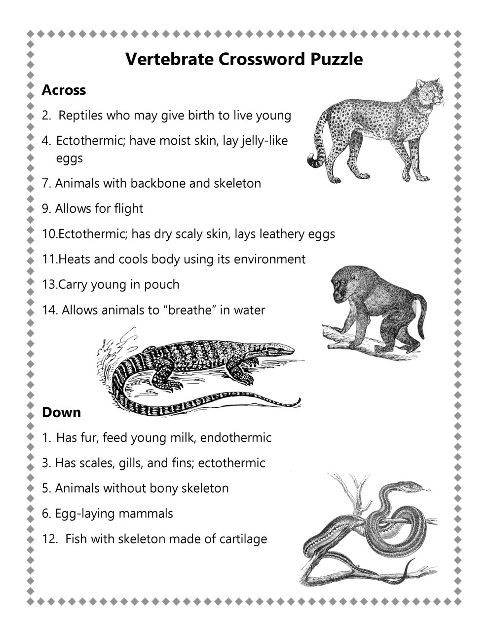 Vertebrate Escape Room Revised
