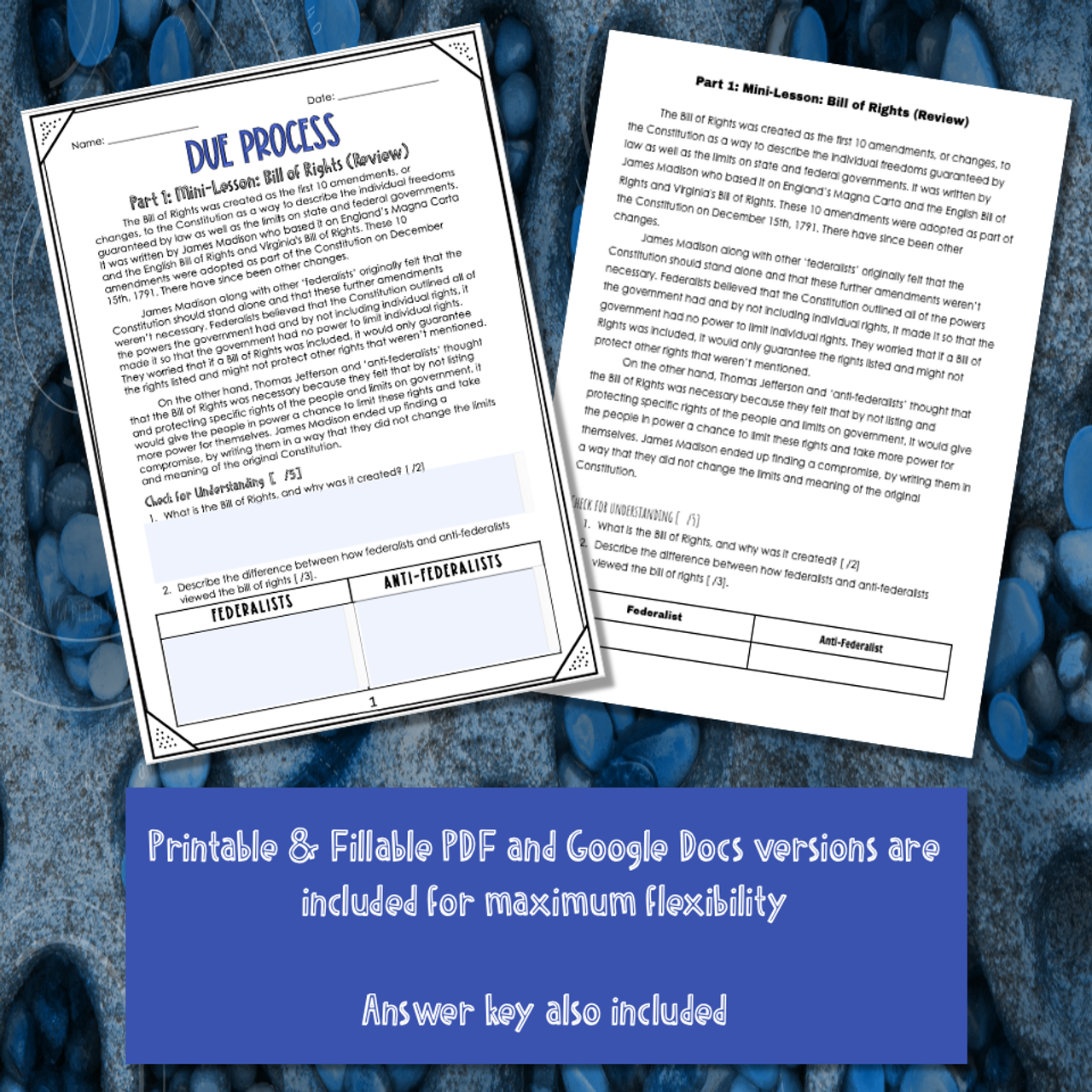 Due Process & Bill of Rights Workbook for US Government - Amped Up