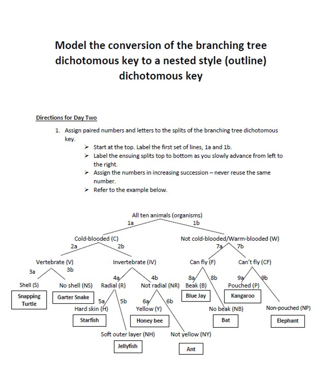 two-day-dichotomous-key-taxonomy-project-for-biology-amped-up-learning for Free Printable Dichotomous Key Worksheet Two-Day Dichotomous Key Taxonomy Project for Biology - Amped Up Learning for Free Printable Dichotomous Key Worksheet