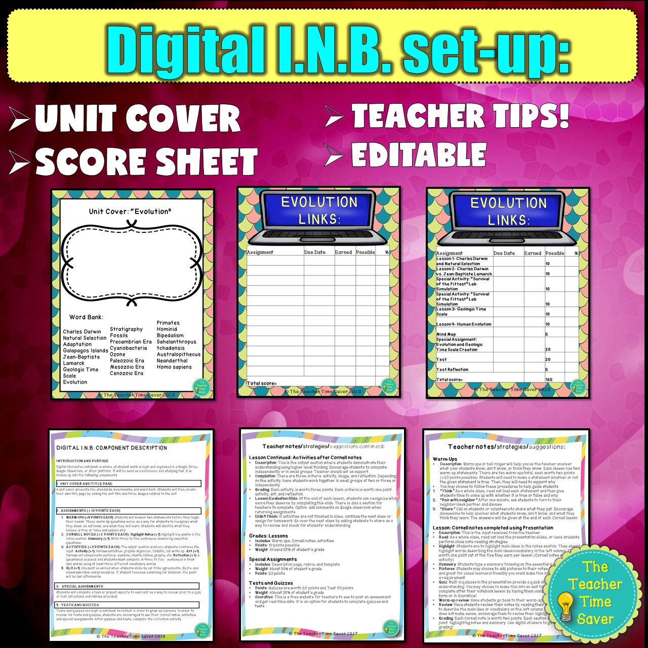 Evolution and Natural Selection Notebook Bundle - Amped Up Learning