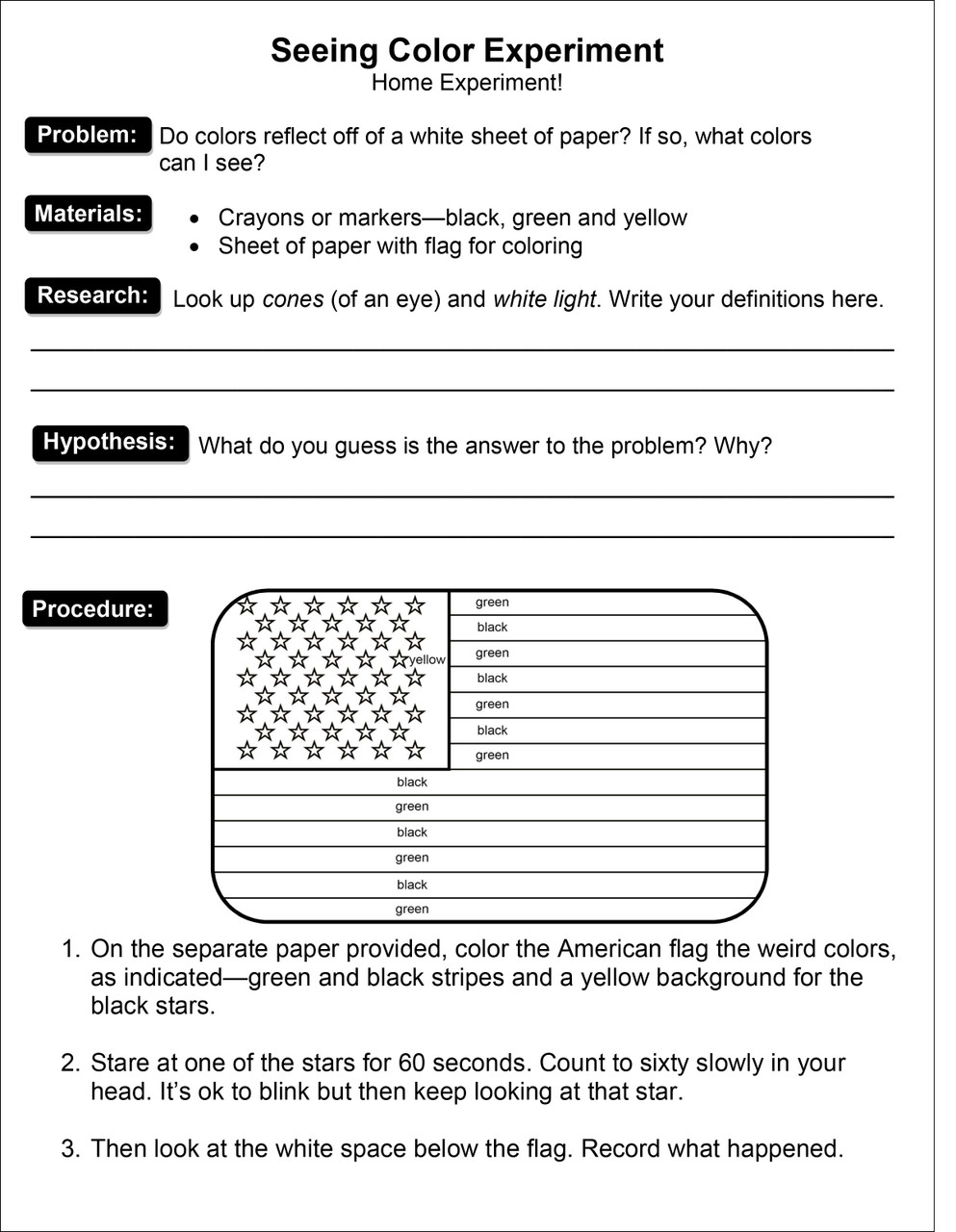 Light and Color Science Activity