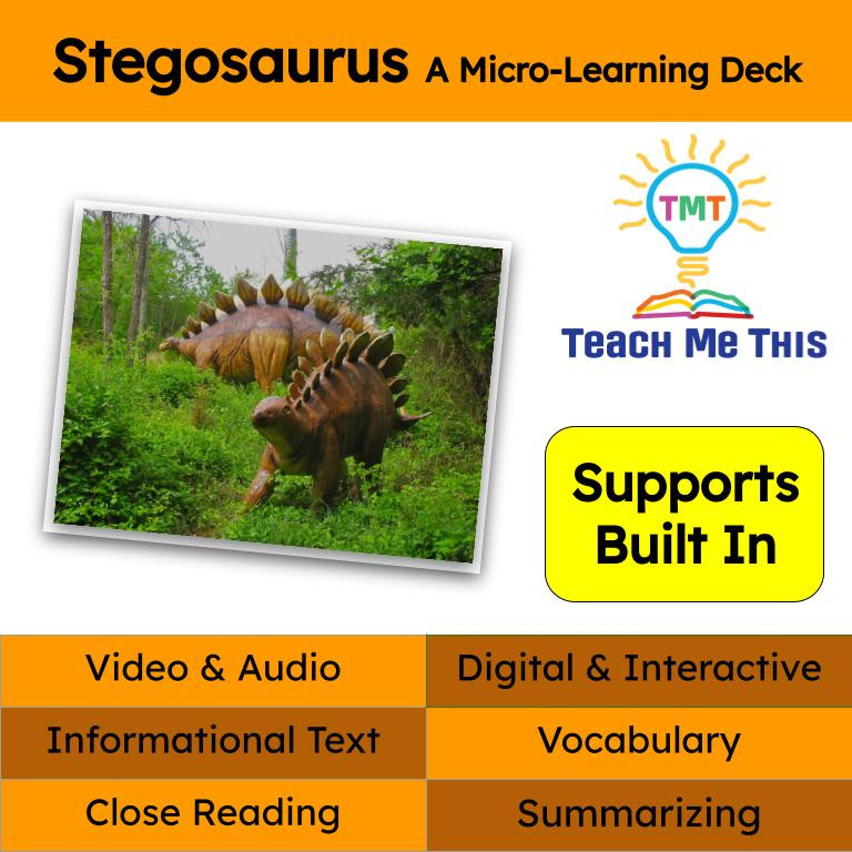 Stegosaurus Informational Text Reading Passage and Activitie