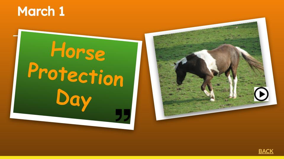 January Celebrate Everyday Calendar