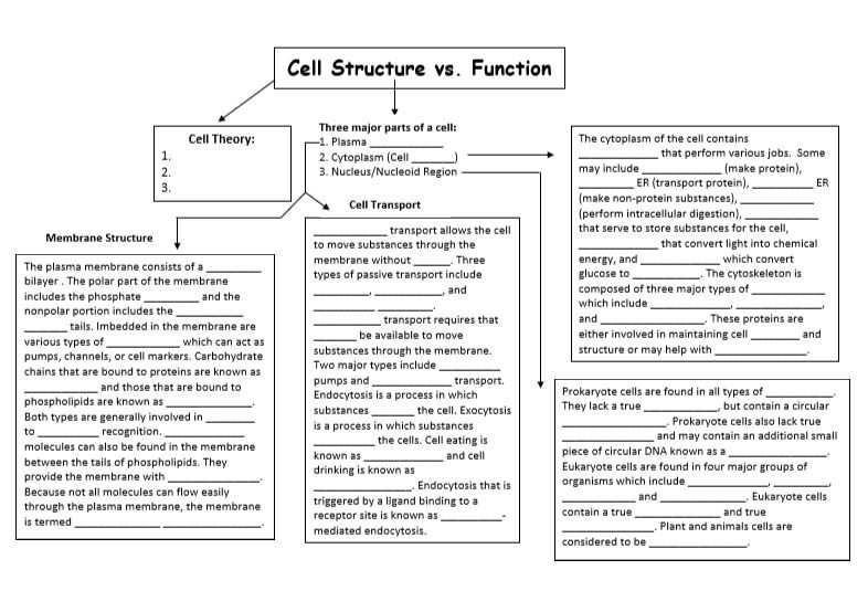 Concept Madness: Cell Structure/Function & Cell Membrane/Transport ...
