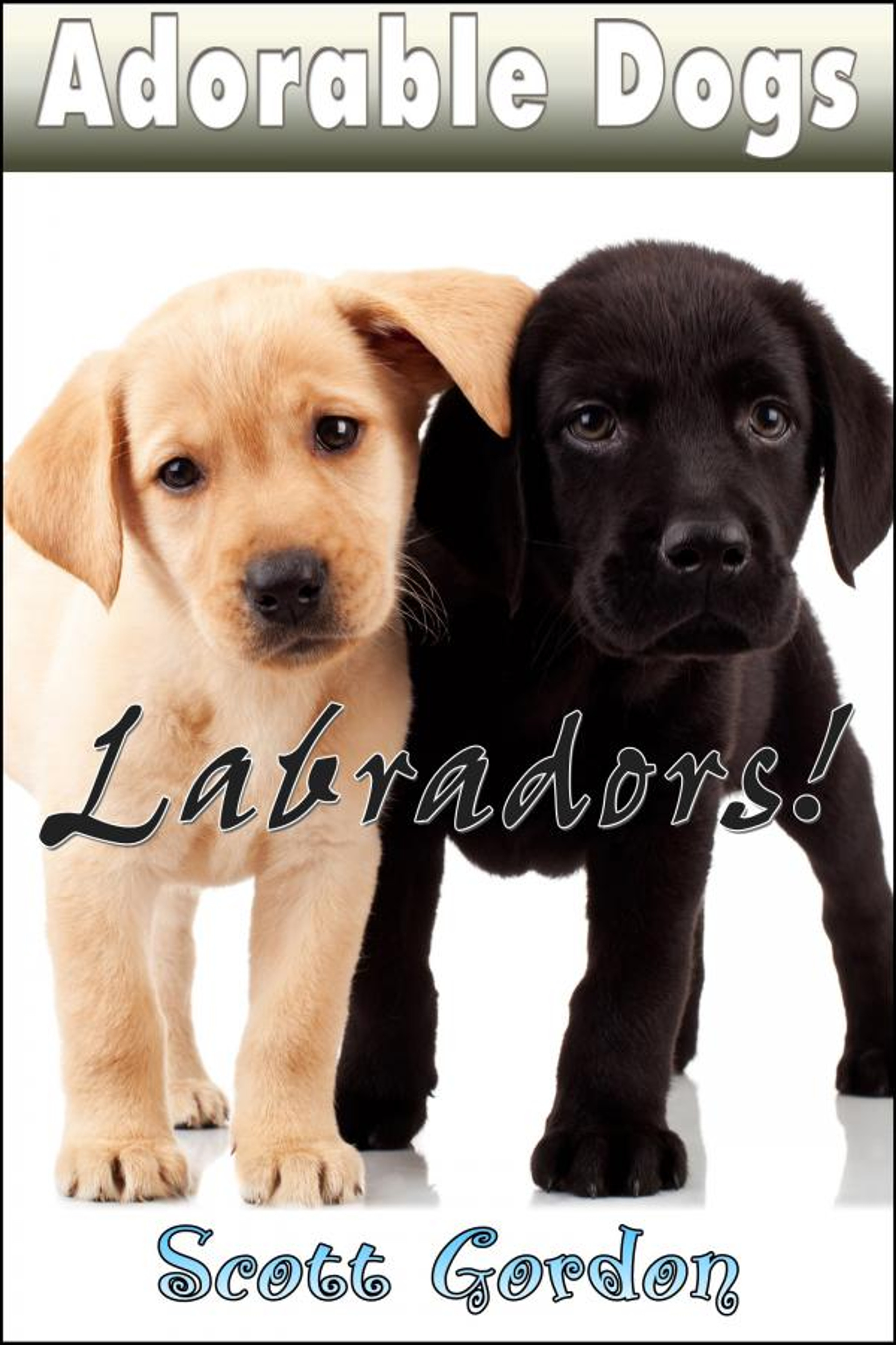 Adorable Dogs Labradors Amped Up Learning