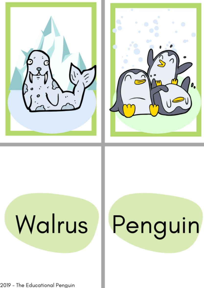 Flash Cards Sea Animals Amped Up Learning
