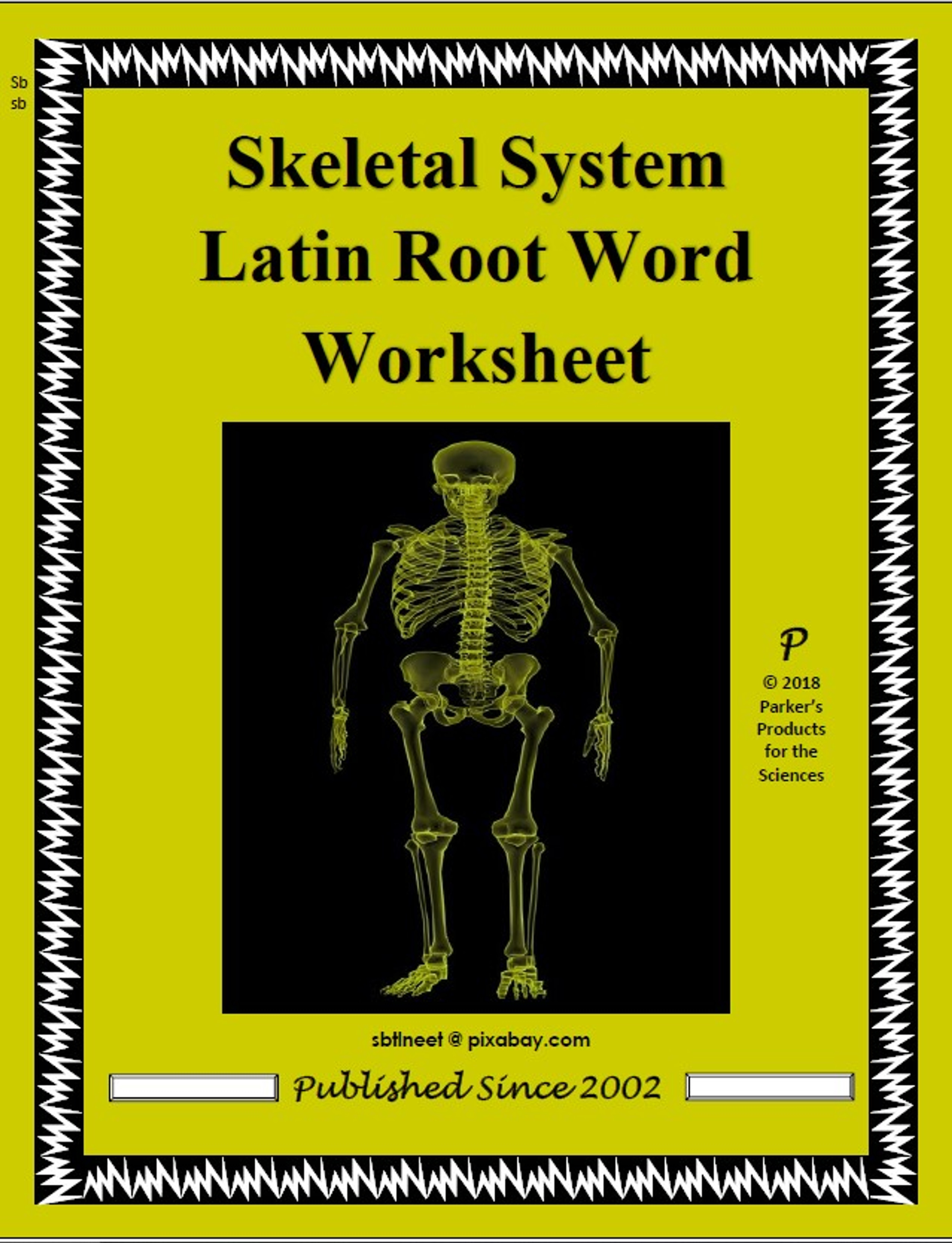 Skeletal System Latin Root Word Worksheet Amped Up Learning skeletal-system-latin-root-word-worksheet-amped-up-learning
