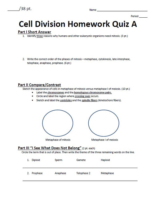 Mitosis and Meiosis Homework Quiz Bundle