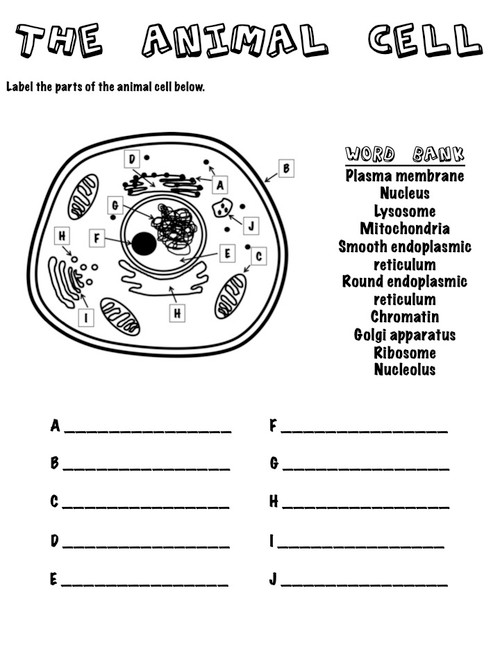 The Plant Cell Label with Word Bank - Amped Up Learning