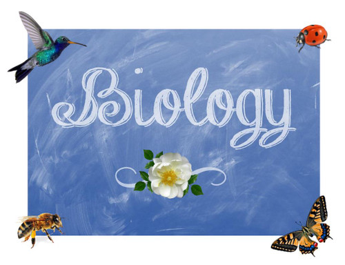 DNA and Genes (Biology Ch 11 - Bundled Lesson) - Amped Up ...