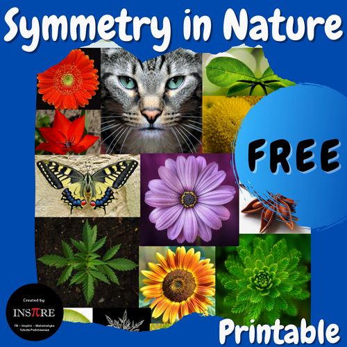 FREE Symmetry in Nature Math Poster Bulletin Board Anchor Chart Printable PDF