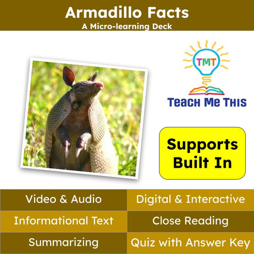 Arthropods Informational Text Reading Passage and Activities