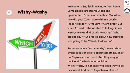 Wishy Washy Figurative Language Reading Passage and Activities