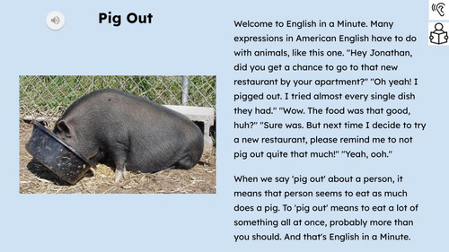 Pig Out Figurative Language Reading Passage and Activities