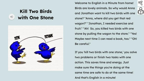 Kill Two Birds With One Stone Figurative Language Reading Passage and Activities