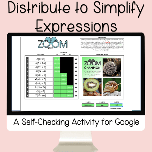 Self checking math worksheets zoom