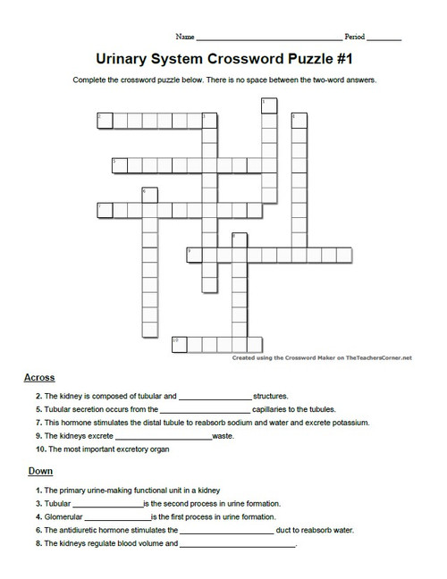 Sensory System Crossword Puzzle Bundle - Four Total! - Amped ...
