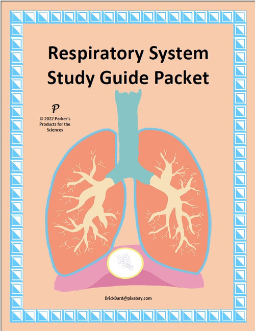 Urinary system study guide packet