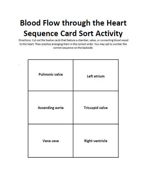 Heart Blood Flow and Conduction Sequence Card Sort Activity Set