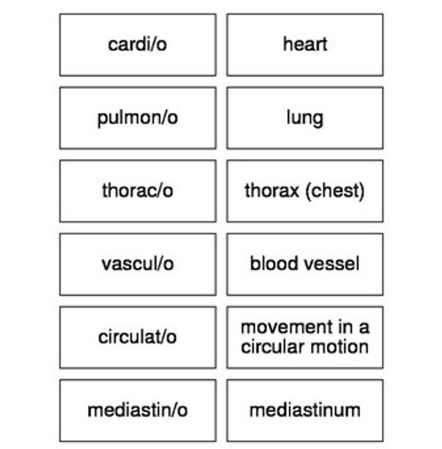 Medical Language Vocabulary Review Flash Cards Bundle