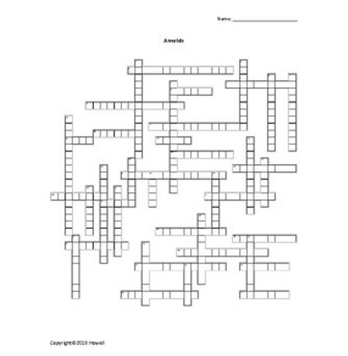 Invertebrate Biology Vocabulary Review Crosswords Bundle