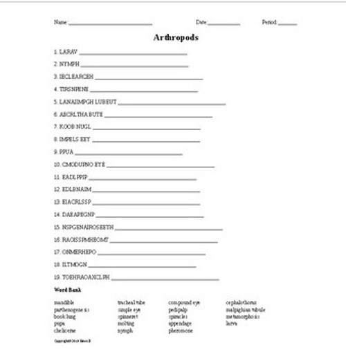 Biology II Vocabulary Word Scrambles Bundle