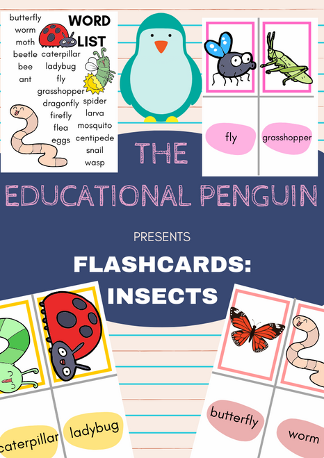 Flashcards: Insects