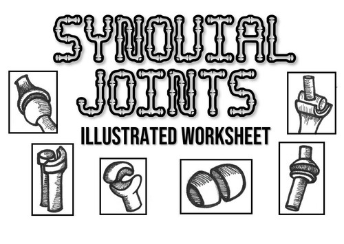 Synovial (Diarthrosis) Joints Worksheet- Illustrated