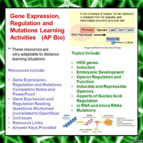 Gene Regulation, Expression and Mutations Learning Activities ...