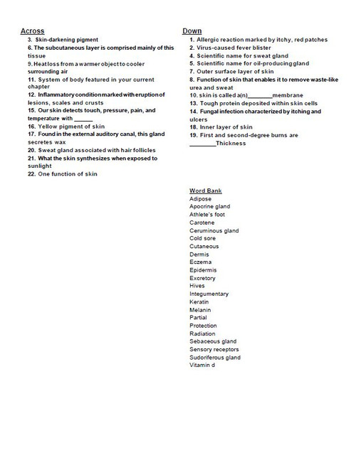 integumentary-system-crossword-puzzle-amped-up-learning