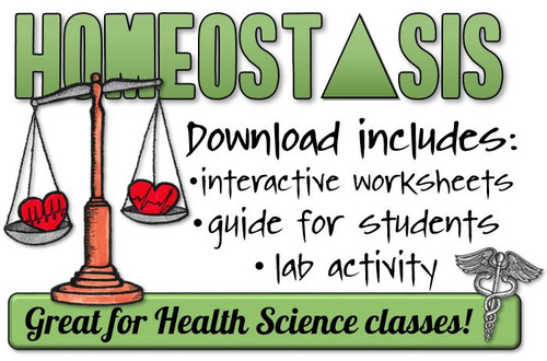Homeostasis Activities- Great for Health Science!