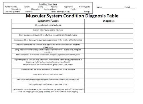 Muscular System Crossword Puzzle Set - Amped Up Learning