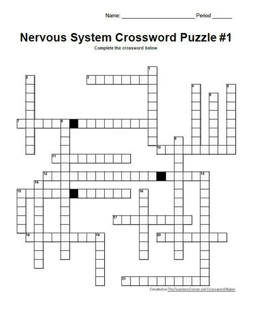 Muscular System Crossword Puzzle Set Amped Up Learning