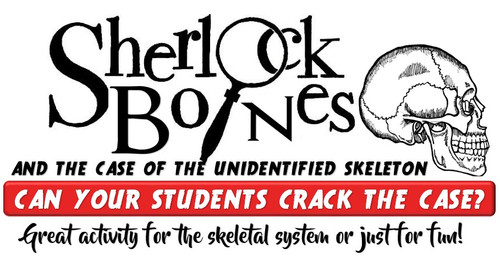 Why Are Bones Hollow? Activity for the Skeletal System! - Amped Up Learning