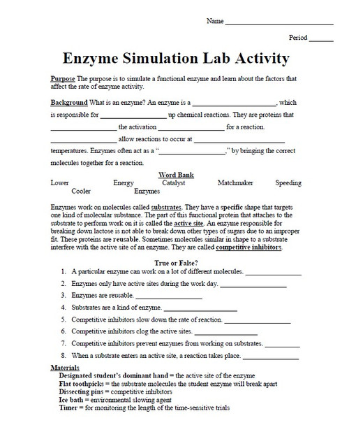 Factors that Affect the Rate of Enzyme Activity Lab using Toothpicks